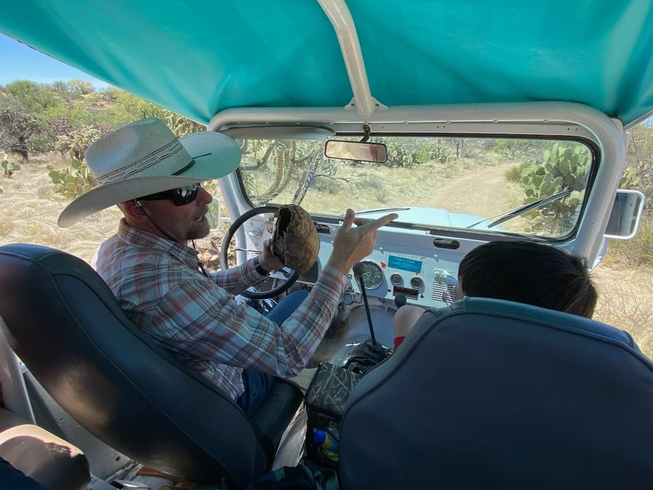 Mount Lemmon Sky Island Jeep Tour | Beat the Heat! — Trail Dust Tours